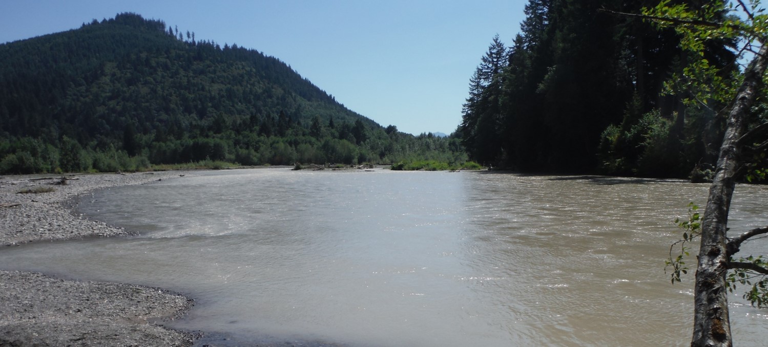 Sediment and Turbidity Monitoring Nooksack Indian Tribe